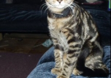 Posing for the Camera