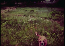 Afternoon hike