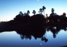 Silence Reflected