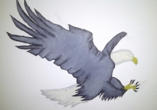 June Exhibit Eagle Landing