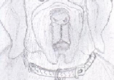 Artwork from The Art of Doodle's