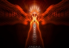 Phoenix