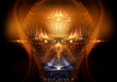Gold Head 6