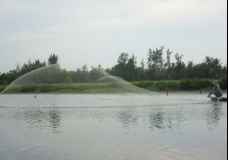 Boat river