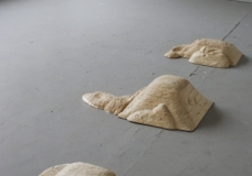 Autonomous landscape