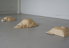 Autonomous Landscape