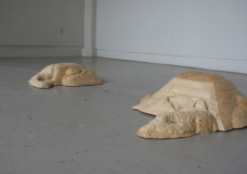 Autonomous Landscape