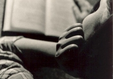 Quietude