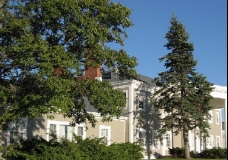 Beautiful Environment Seen Building