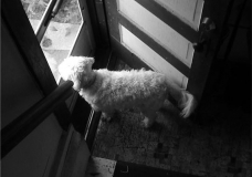 Always on the other side