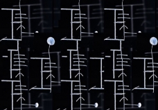 Information Revolution