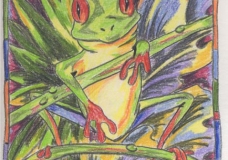 Frog Dude
