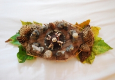 Earth Art