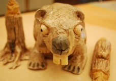 I am a Beaver