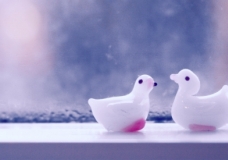 June Exhibit - Quiet Time - Jenny Ge