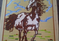 Brave Stallion
