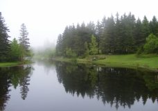 June Exhibit- Calm Waters