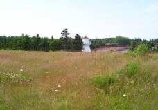 June Exhibit- PEI Coast
