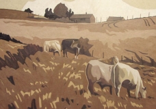 Working the field