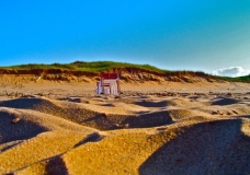 June Exhibit - Bright Brackley Beach