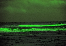 toxic