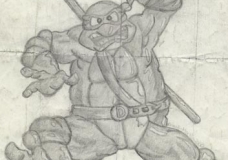 Teenage Mutant Ninja Turtle