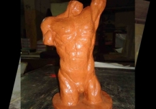 TORSO