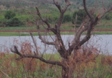 Beauty of Nature