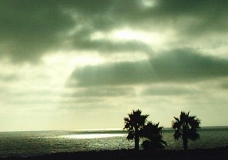 The Deep Evening