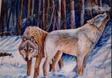 midnight howl