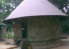 Thiruvenkitapuram SreeKrishnaswami Kshetram