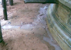 Thiruvenkitapuram Sreekrishnaswami Kshetram