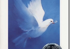 world Peace