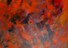 poppies