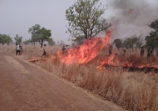 Bushfire Control