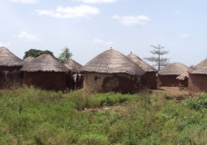Traditional Huts
