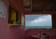 Through a Pink Window