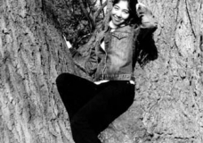 Up in a Tree