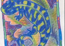 Lizard Dude