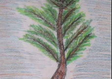 the lonesome tree