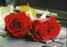 Flower 2