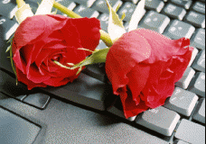 Flower 3