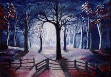 Into the Moonlit Forest