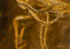 Kings Horses