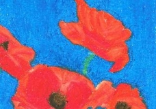 passionate poppies