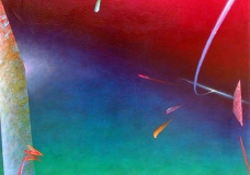 Following Light
