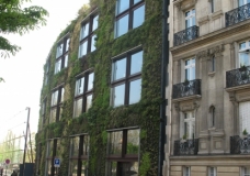 Green Building