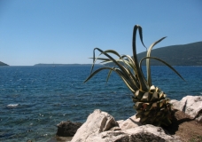 Montenegro