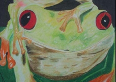 Froggyback Ride