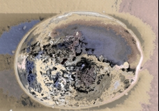 Embrio